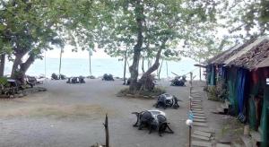 Algens Dive Resort