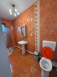B House Bușteni