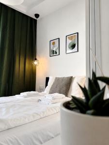 Dream View Apartment