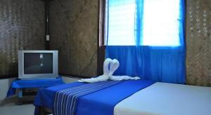 Tabibis BedSpace Rental