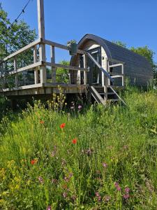 Tiny House De Skierroek