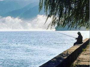 Danube Riviera TRAILOVIC