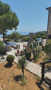Villa Poseidon Residences - Poolside Zante Nests