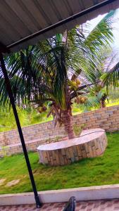 IAgri Farm - Farm House near Kanyakuamri for 1 day