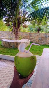IAgri Farm - Farm House near Kanyakuamri for 1 day