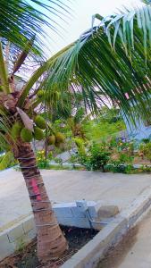 IAgri Farm - Farm House near Kanyakuamri for 1 day