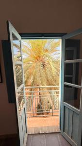 Entre art et tradition, au cœur de Djerbahood
