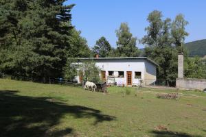 Ferme équestre équinox