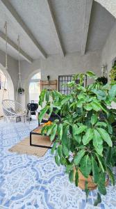 Holiday home in Torrevieja