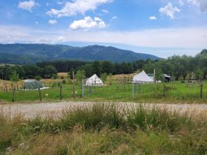 Nucsoara Glamping Cozy