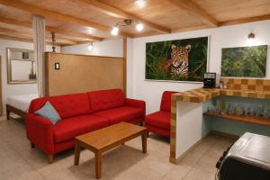 Feliz Puerta - Entire House with Rooftop Terrace, Iquitos