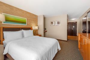 Holiday Inn Hotel & Suites Edmonton Airport Conference Centre by IHG