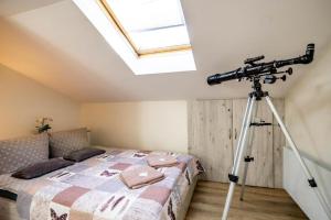 Apartamenty Chopina