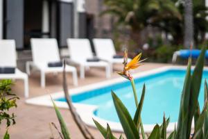Casa Maravelle Faro Park Sea Views Heated Pool Playa Blanca