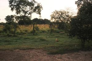 Casa em Sítio, 7km da Cidade