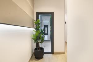 Apartamentos Surya Home Suites