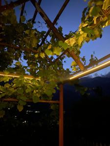 Marash Rrgalla Guesthouse