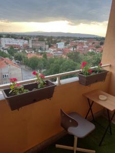 Apartman Mici