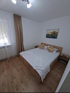 Codruta Home