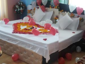 Riva palace Homestay Rewalsar Lake