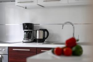 Modern apartment Sabina with nice garden