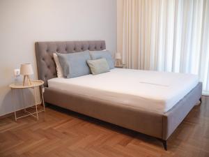 Central Family Flat Volos