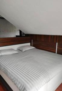Apartament ELSA