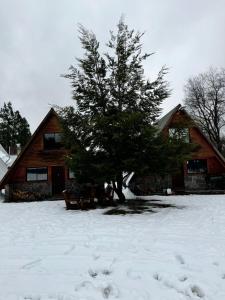 Cabañas Familiares Camino a Termas de Chillán