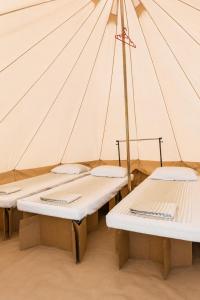 NIBIRU OFFICIAL ACCOMMODATION LUNR Camp