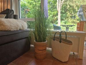 Auszeit Föhr, Whg 11
