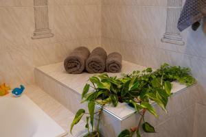 Elaion Thea Residence