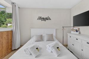 Suite Ski n Family Studio au pied des pistes