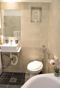 Friendly apartment in center