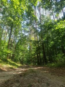 Domek letniskowy
