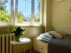 Cozy Stay Niepodległości Avenue Studio
