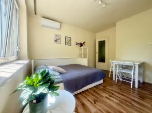 Cozy Stay Niepodległości Avenue Studio