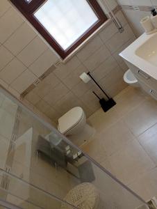 Picchio House near Fiumicino Airport