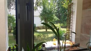 Ferienwohnung An den Mainauen