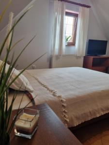Apartament Złota Rybka Stegna