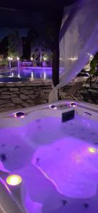Litov Boutique Estate & Spa Melnik