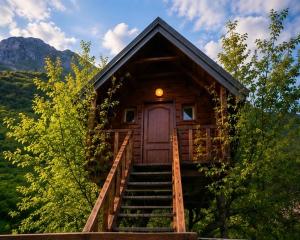 TreeHouse Experience