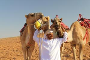 Authentic Desert Camp - Al Wasil