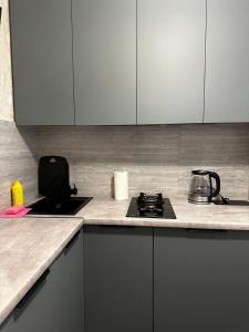 Apartments Auris