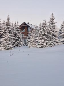 NOOK Kopaonik Luxury Apart & House