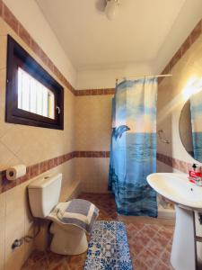 Hause Sogambros 2