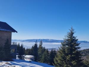 NOOK Kopaonik Luxury Apart & House