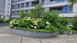 Apartament Morza Szum - Plac Unii- Parking