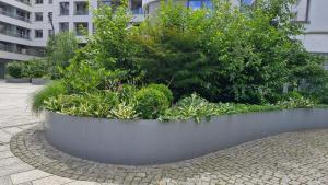 Apartament Morza Szum - Plac Unii- Parking