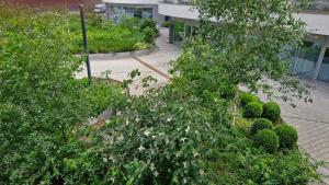 Apartament Morza Szum - Plac Unii- Parking