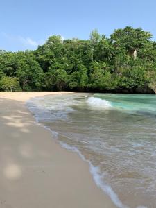 Ackee Tree Rustic Cottage